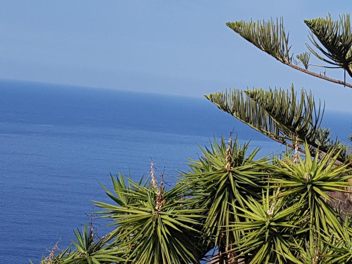 Tenerife Rooms S. C. Santa Cruz de Tenerife Eksteriør billede